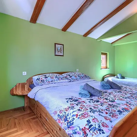 Question 42 - Comfort プーラ